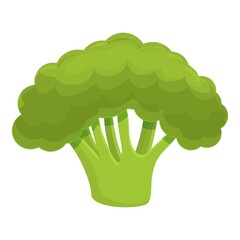 Poster - Ripe broccoli icon. Cartoon of ripe broccoli vector icon for web design isolated on white background