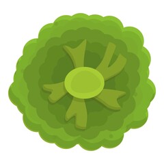 Poster - Grocery broccoli icon. Cartoon of grocery broccoli vector icon for web design isolated on white background