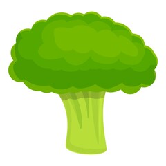 Poster - Whole broccoli icon. Cartoon of whole broccoli vector icon for web design isolated on white background