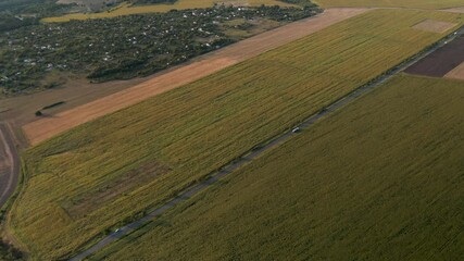 Wall Mural - drone video above spring countryside with agricultural fields, villages and road with cars. agricult