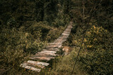 Fototapeta Mosty linowy / wiszący - Drewniany most linowy rozwieszony pośród dżungli.