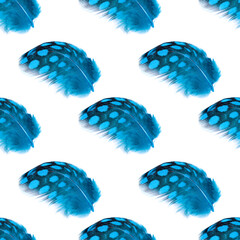 Poster - seamless pattern blue beautiful feathers isolated on a white background