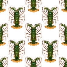 Green Lobster Isolated On A White Background. Seamless Pattern