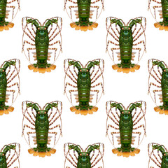 Poster - green lobster isolated on a white background. seamless pattern