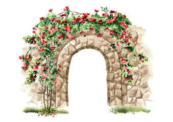 Old stone arch with wild climbing roses. Hand drawn watercolor illustration isolated on white background