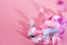 Abstract Background With Soft Pink Feathers And Shadows, Flat Lay, Copy Space