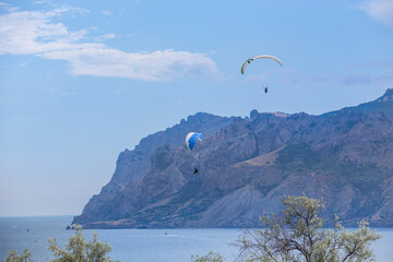 Paraschutists on paragliders fly in the sky