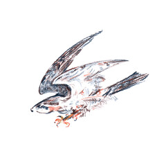 attacking falcon pencil drawing design element falconry illustration