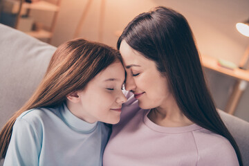 Wall Mural - Profile photo of optimistic brunette red hairdo mom daughter hug sit on sofa wear sweater at home