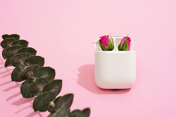 Close up shot of a charging case for earphones with two little pink roses inside and green leaf branch on pink background