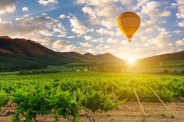 Wall Mural - Hot air balloon over the mountains and vineyards.