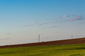 Wall Mural - Field with a sloping horizon in the countryside. Clouds in the sky.