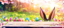 Abstract Defocused Easter Table - Ears Bunny Behind Grass And Decorated Eggs In Flowery Field