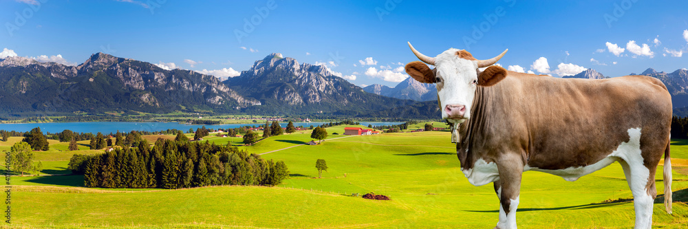 Fotografia panoramic landscape at spring in Bavaria, Germany