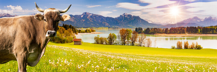 Wall Mural - panoramic landscape at spring in Bavaria, Germany