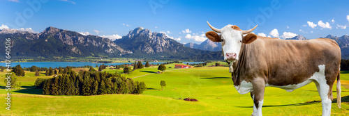 Canvas Print panoramic landscape at spring in Bavaria, Germany