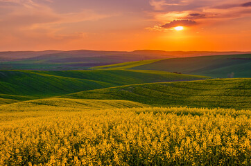 Rural spring landscape