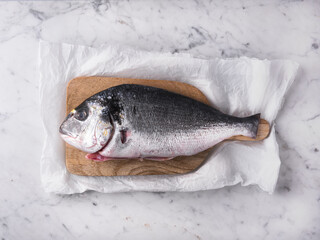 Wall Mural - Fresh uncooked dorado or sea bream ready to cook. Raw fish on white background. Cooking food for healthy lunch or dinner. top view