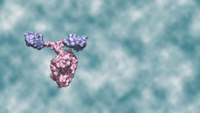 Camelid Immunoglobulin Or Heavy-chain Only Antibody With Glycosylation Colored Turquoise And Variable Domain Colored Light Purple 3d Rendering