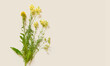 Copy space with fresh yellow wild flowers. Top view, flat lay for blogging or invitation. Spring or summer background.