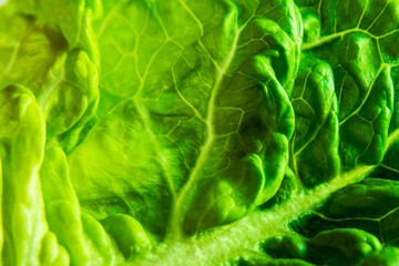 Close-up of a lettuce leaf. Lettuce texture concept, fresh summer food