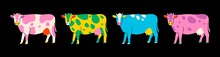Set Of Four Cows Standing And Looking In Camera. Hand Drawn Colored Trendy Vector Illustration. Funny Characters. Cartoon Style. Flat Design. Abstract Colors. Isolated On Black Background