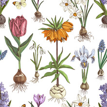 Seamless Pattern Of Hand Drawn Bulbous Flowers