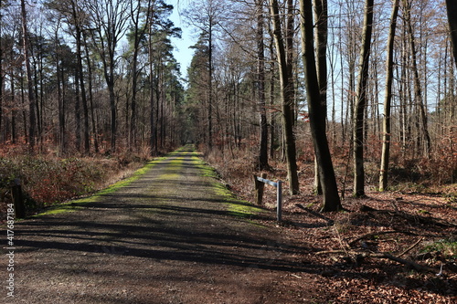 Waldwege © marnag