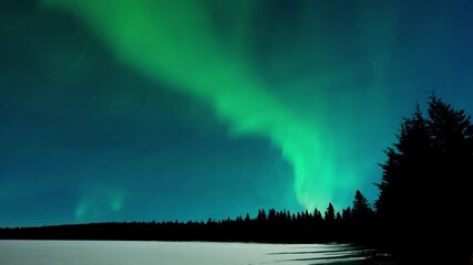 Time lapse of very active green Aurora with silhouettes of pine and spruce trees over a frozen snow covered lake.
