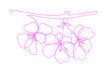 © Octopusart - Vector modern set of isolated hand drawn doodle flowers. Sakura, cherry, plum flowers. Pattern of flowers drawn by one line on a white background.