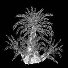 Sticker - palm trees group outline isolated on black