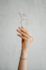 Female hand with white flowers on light background