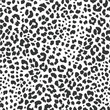 Full Seamless Leopard Pattern Texture Vector. Endless black and white cheetah design for dress fabric print.