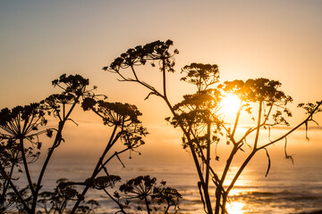 Poster - USA, California. Sunset over the Pacific Ocean, seen from Pacific Coast Highway on San Simeon North Shore.