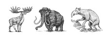 Mammoth Or Extinct Elephant, Irish Elk Or Ground Deer And Palorchestes. Marsupials Of The Family Palorchestidae. Vintage Extinct Animal. Retro Mammals. Hand Drawn Engraved Sketch.