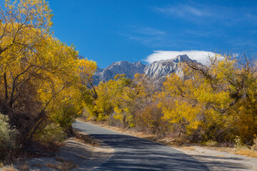 Poster - USA, California, Alabama Hills. Scenic of Tuttle Creek Road.