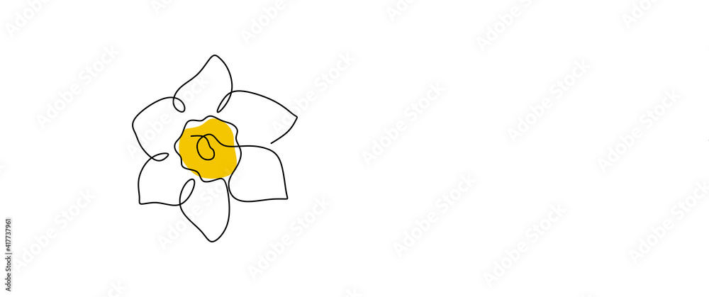 Daffodil flower in yellow color continuous line drawing. Blossoming Narcissus in spring isolated on white background. Garden flower with minimalist design in hand drawn style. Vector illustration - obrazy, fototapety, plakaty 