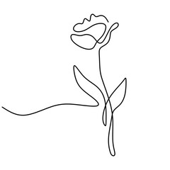 Wall Mural - Tulip flower one continuous line art minimalist contour drawing. Spring floral design element isolated on white background. Beautiful blossoming natural flower with leaf. Vector illustration
