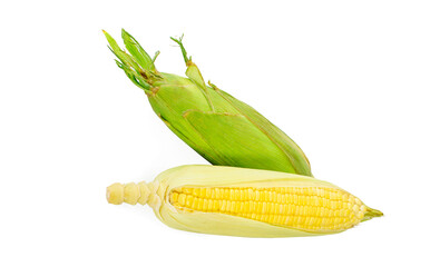 Wall Mural - Corn isolated on white background