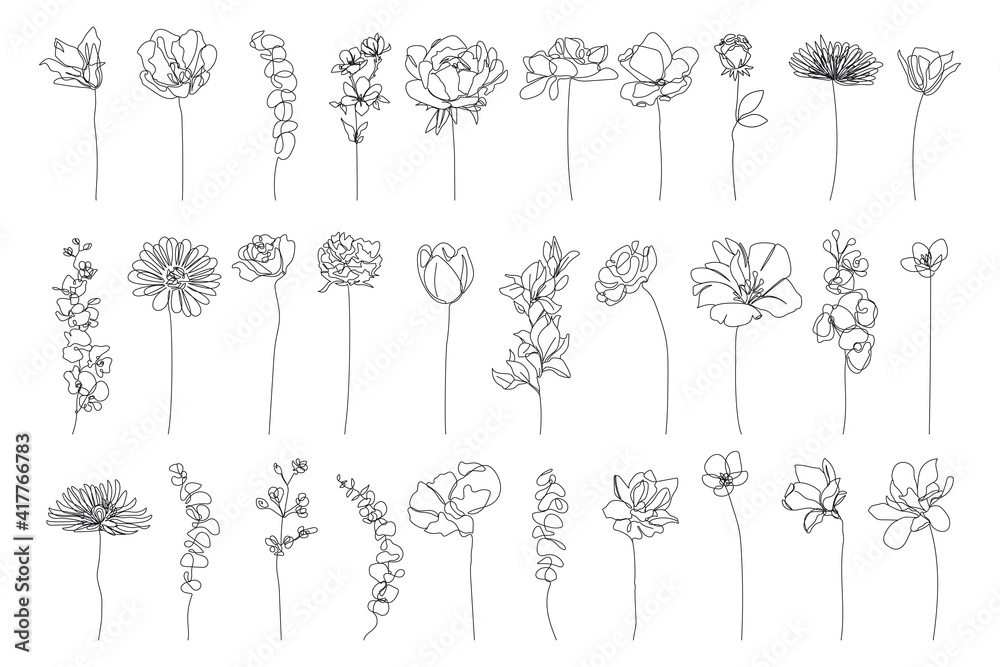 Continuous Line Drawing Set Of Plants Black Sketch of Flowers Isolated on White Background. Flowers One Line Illustration. Minimalist Prints Set. Vector EPS 10. - obrazy, fototapety, plakaty 