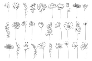 Continuous Line Drawing Set Of Plants Black Sketch of Flowers Isolated on White Background. Flowers One Line Illustration. Minimalist Prints Set. Vector EPS 10.