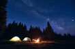 © anatoliy_gleb - Company of five hikers, men and woman sitting by burning bonfire near tourist tents, enjoying beautiful camping night under dark sky full of stars and bright Milky Way, warm summer evening.