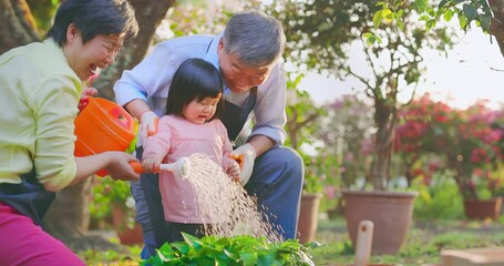 Poster - senior man watering the garden