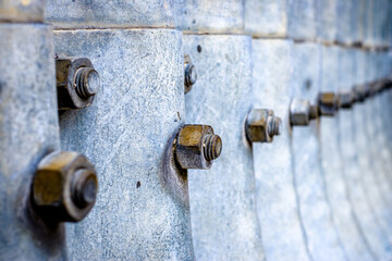 Wall Mural - old screw - closeup