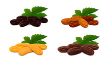 Heaps Of Raisins With Leaf Isolated On White Background. Collection Of Different Types Of Dried Grapes (Zante Currant, Sultana, Jumbo Golden And Brown Thompson) Realistic Vector Illustration.