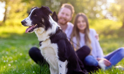 Wall Mural - Happy couple in love with a dog in the park