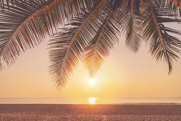 Palm tree at tropical beach on sunset sky abstract background. Summer vacation and nature travel adventure concept.