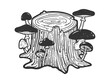 stump overgrown with mushrooms sketch engraving vector illustration. T-shirt apparel print design. Scratch board imitation. Black and white hand drawn image.