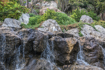 Wall Mural - Beautiful waterfall with tropical trees and plants