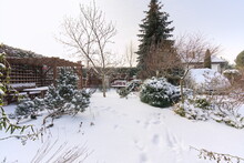 Garden Gazebo And Winter Garden 